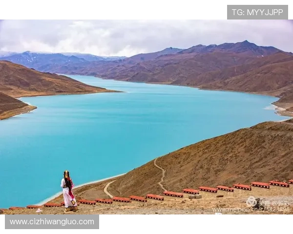 麦卡视角：南美激情与欧洲精密的永恒角力